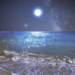 Avatar of Hooria Malik